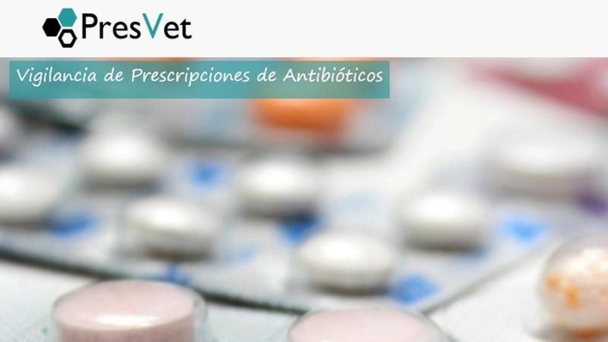 Vigilancia de antibióticos.