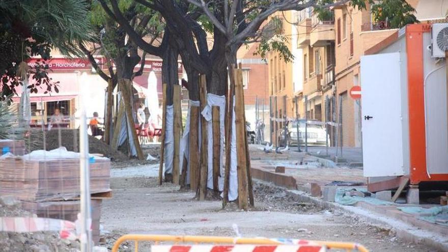 Los árboles de la plaza de San Blas se salvan de la tala