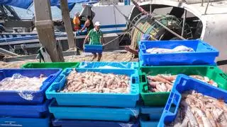 Los recortes en la pesca reducen las capturas en 2.000 toneladas y causan pérdidas de 9 millones en la provincia de Alicante