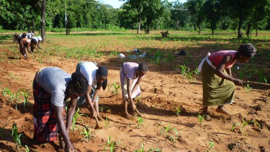 Apoyo a la soberanía alimentaria. Proyecto de Proyde de formación agrícola en Burkina Faso.