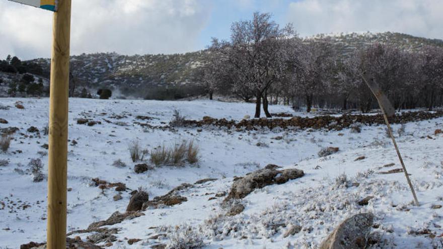 Imagen de la nevada del mes de febrero en las pedanías altas de Caravaca y Moratalla