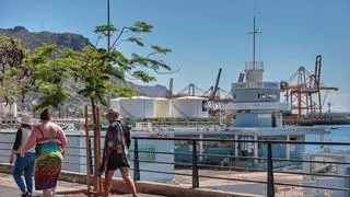El derribo del viejo Cidemat, a la espera de que el Puerto de Santa Cruz de Tenerife y el Cabildo acuerden un precio para la concesión de los terrenos