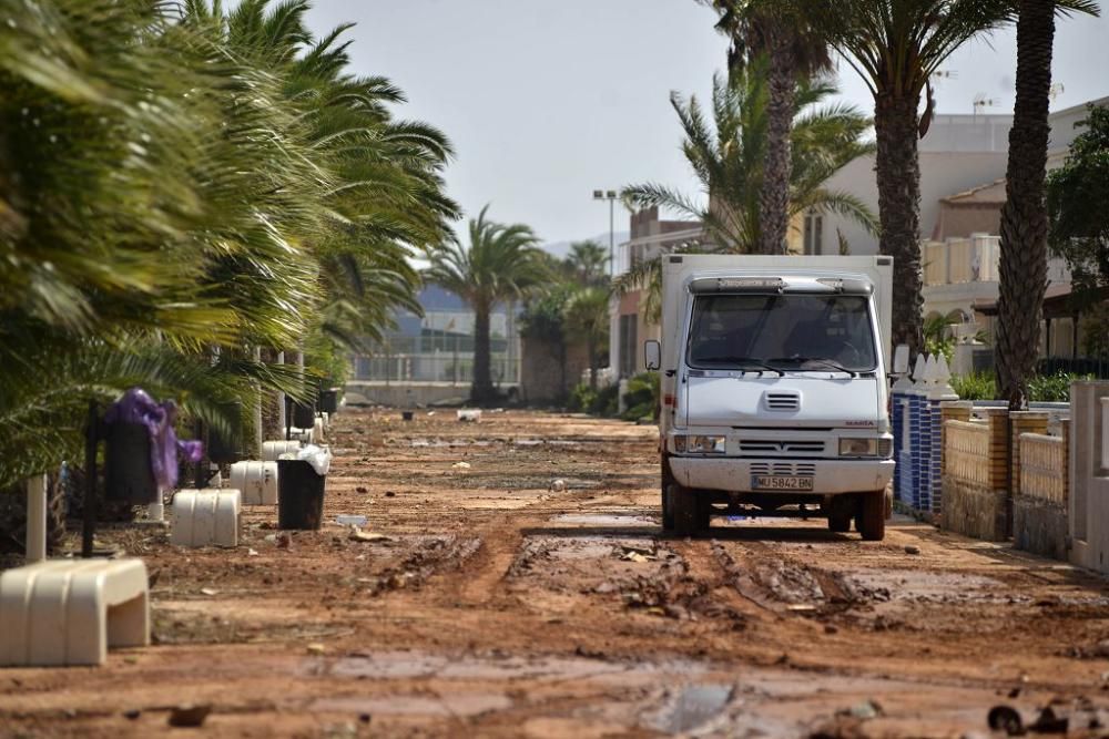 Lunes de limpieza en Los Alcázares y Los Urrutias