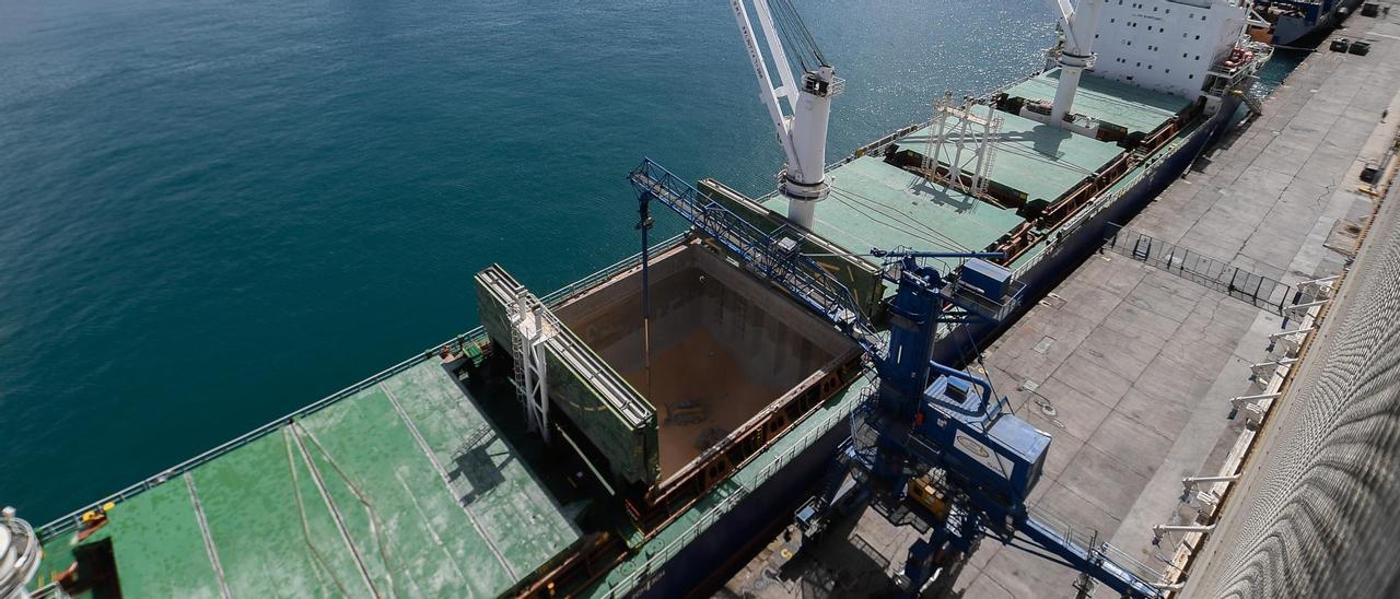 Descarga de un buque con 13.200 toneladas de millo en las instalaciones de Silos Canarios en el Puerto de Las Palmas.