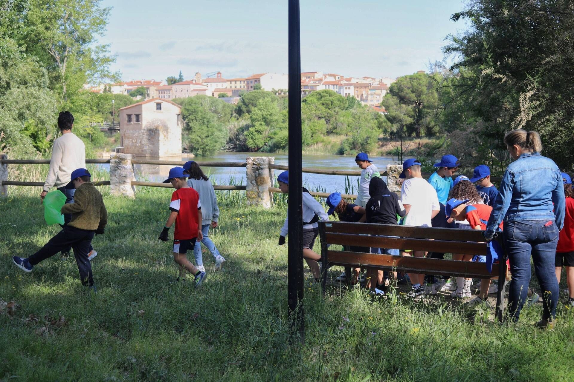 Alumnos del Santísima Trinidad limpian la ribera del Duero