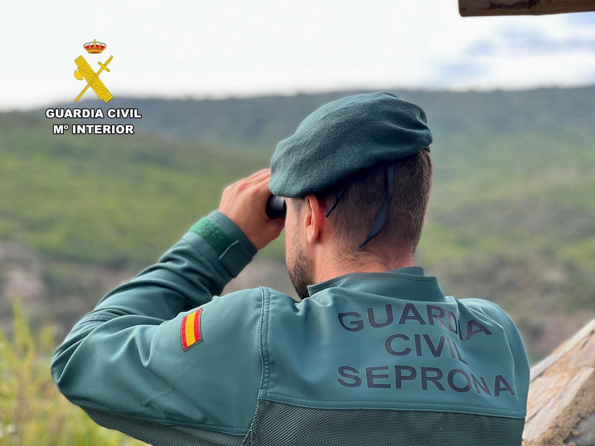 La Guardia Civil de Palencia sorprende a un cazador furtivo