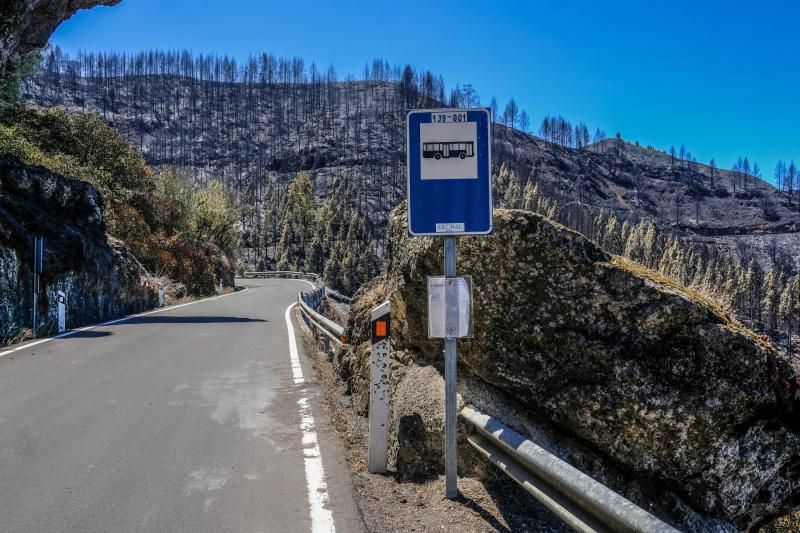 Consecuencias del incendio: De Valleseco a Artenar