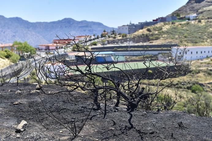 Vistas, hoy, de la zona del incendio de anoche ...