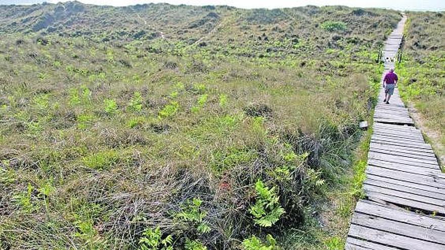 Roque García pasea por la pasarela de madera de acceso a la playa de Xagó.