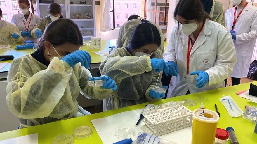 Estudiantes de la CEU UCH dirigen los experimentos para la búsqueda de nuevos antibióticos de alumnos de cinco colegios valencianos.