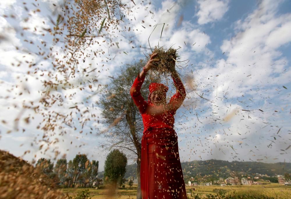 NEPAL-AGRICULTURE/