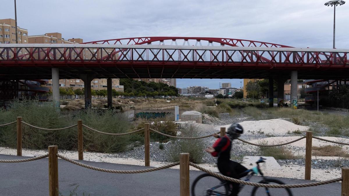 Conclusiones sobre el Parque Central de Alicante