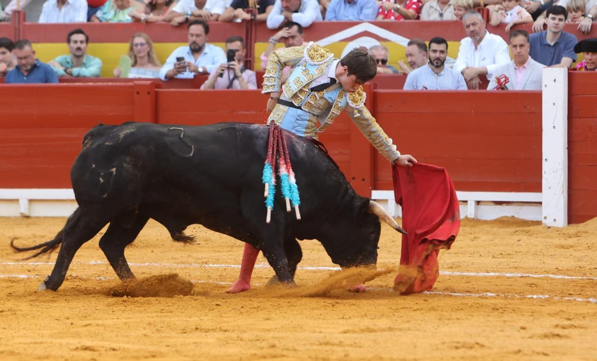 Toreo al natural del novillero catalán Mario Vilau, que logró cortar una oreja en cada uno de sus novillos en su presentación en la Feria de Hogueras.