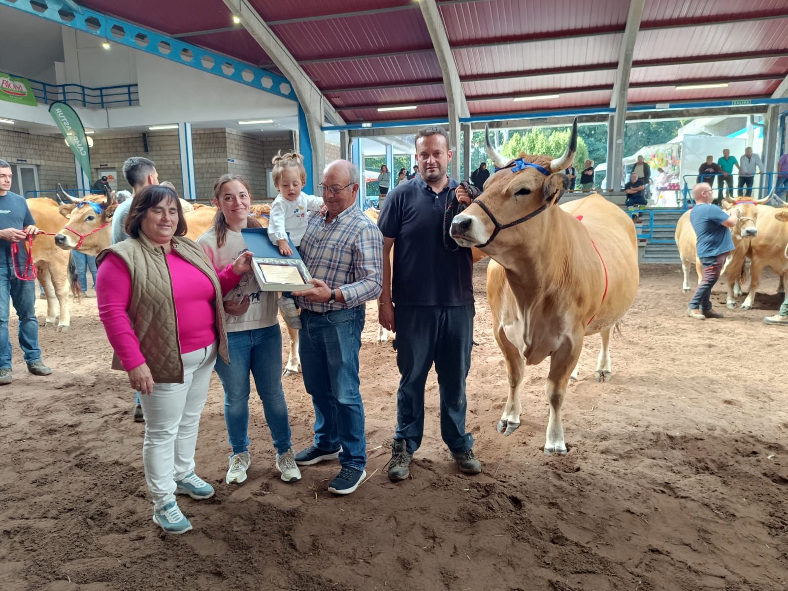 En imágenes: los premiados en la Muestra ganadera local de Cangas del Narcea