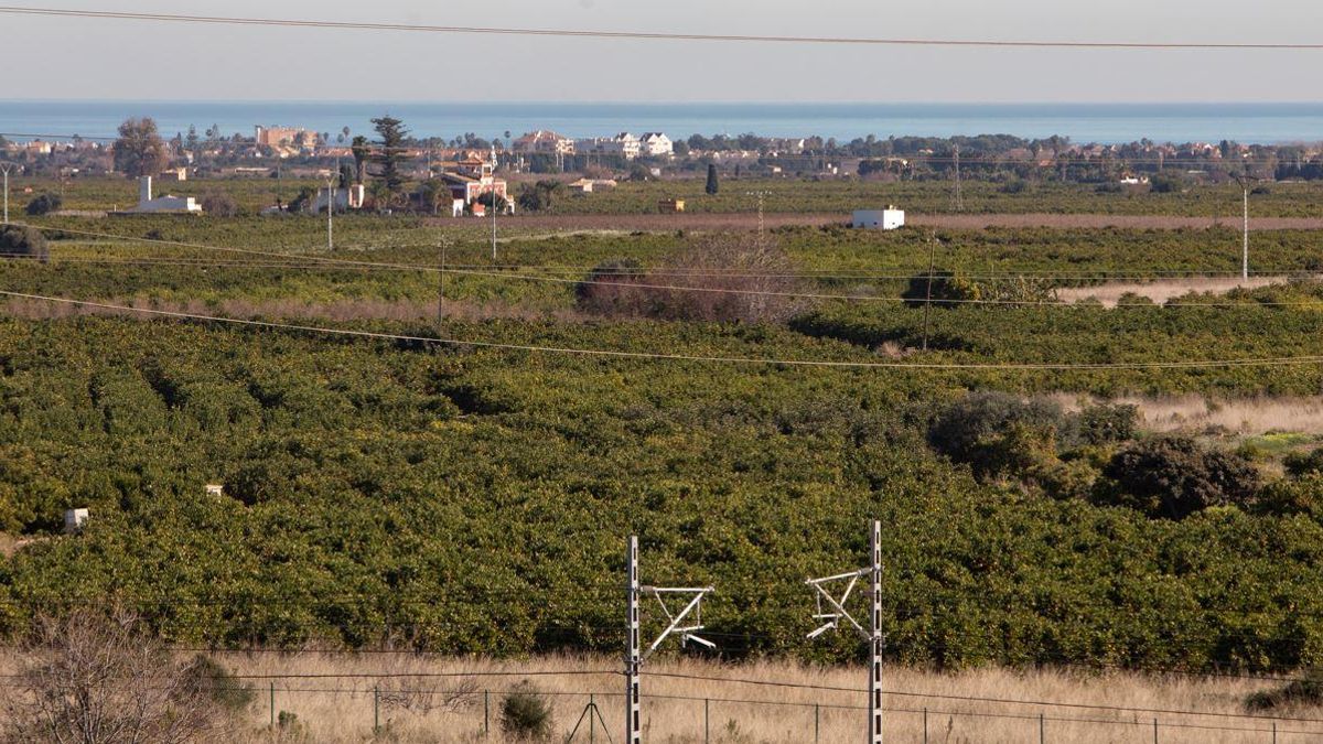 Terrenos dondese van a instalar las placas fotovoltaicas para abastecer a la gigafactoría.