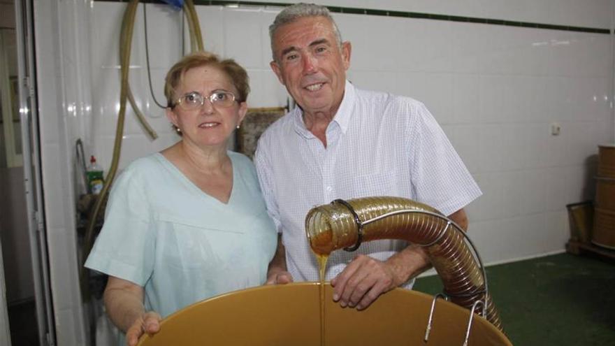 Apícola de Montoro, única en producir miel de cilantro en España
