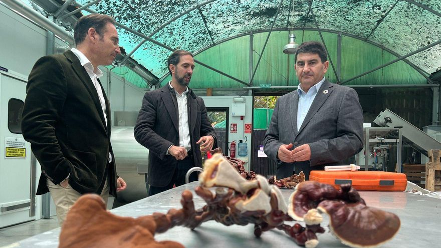 El Gobierno invita a las empresas gallegas a participar en el Perte Agro, dotado con 100 millones