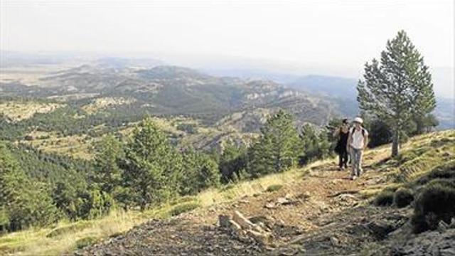 Las arrendatarias del monte podrán extraer 37.000 Tm de biomasa
