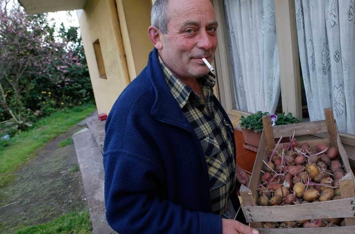 Plaga de patata en Asturias: irrumpe en Gijón y pone en alerta el área central