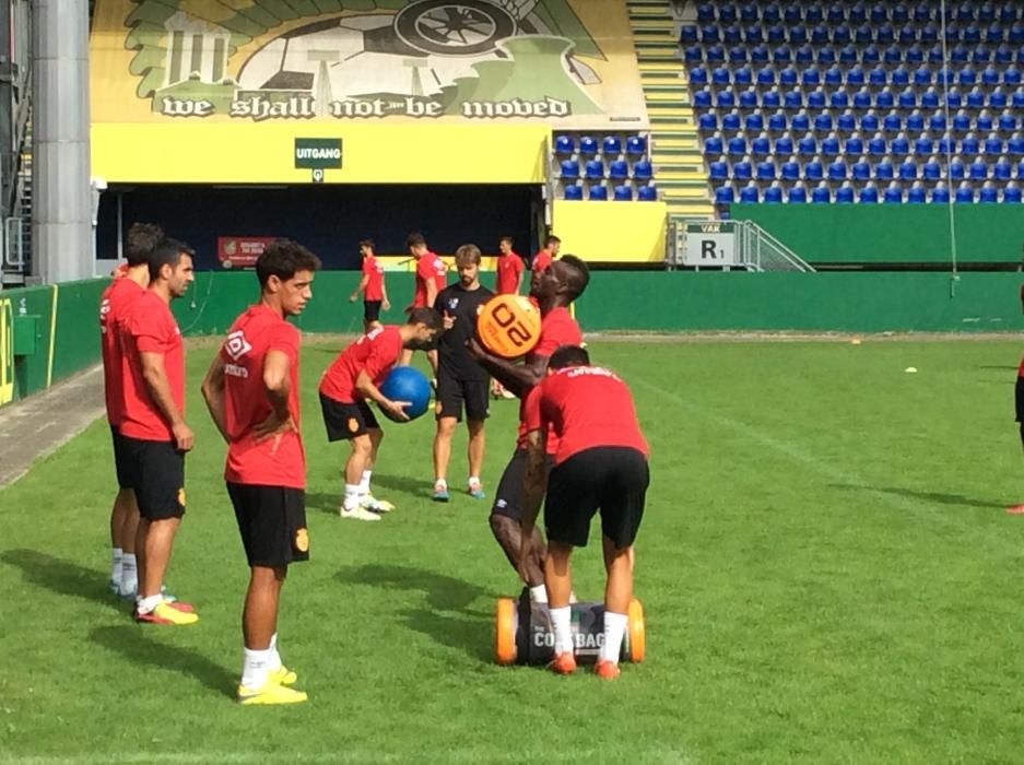 Entrenamiento del RCD Mallorca en Holanda: Vázquez hace sudar a la plantilla