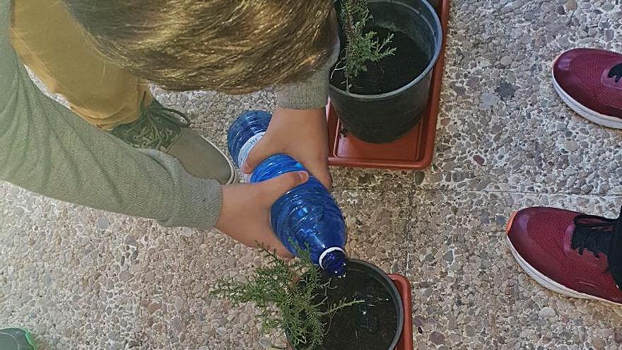 El IES Ribera celebra el Día del Árbol con una replantación