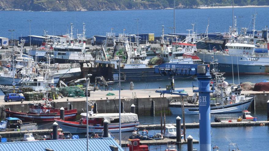 Buques de pesca en la dársena coruñesa de Oza.   | // VÍCTOR ECHAVE