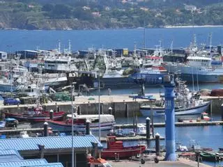 La lonja de A Coruña sobrevive a la veda de pesca de fondo y aumenta descargas en relación al año pasado