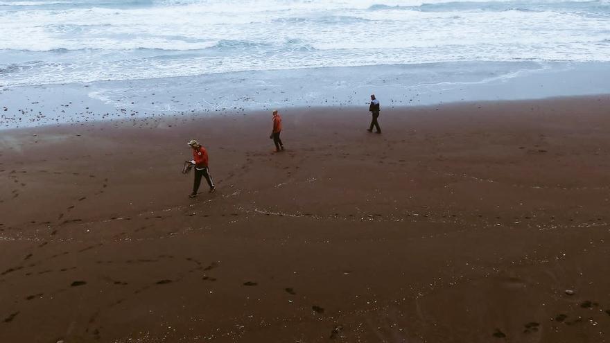 Responsables del Servicios de Socorrismo de las playas de Anaga recogen medusas.