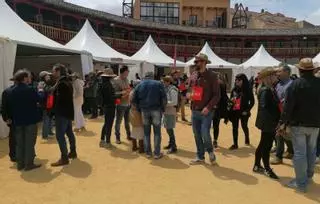 La DO Toro apuesta por "reinventar" su Feria del Vino