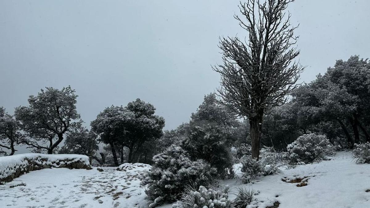 Schnee auf Mallorca