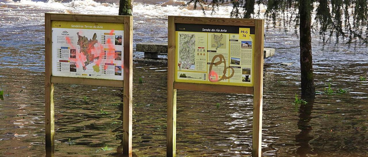 El Avia desbordado en el entorno fluvial, en A Veronza.  |  // FERNANDO CASANOVA