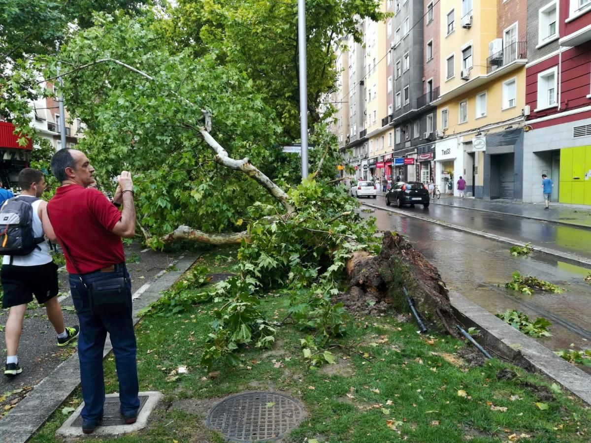 Consecuencias de la tormenta en Zaragoza