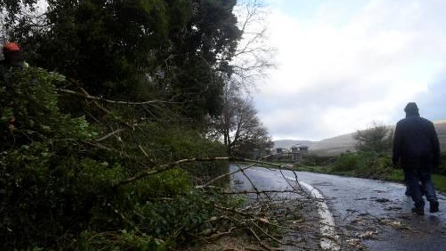 Un operari intenta retirar un arbre d&#039;una carretera a Irlanda.