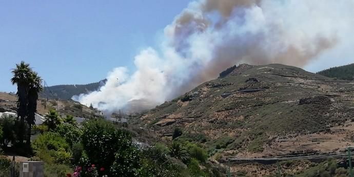 Incendio en la cumbre de Gran Canaria