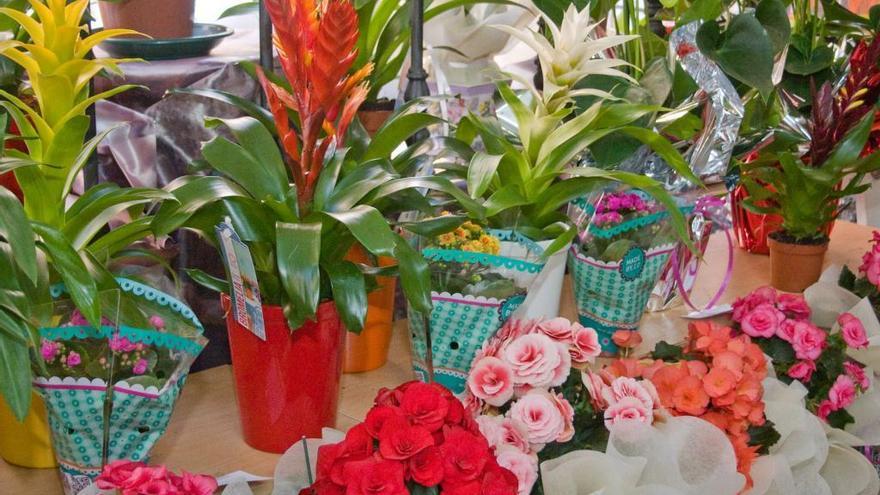 Detenido el propietario de una floristería por vender droga en Mieres