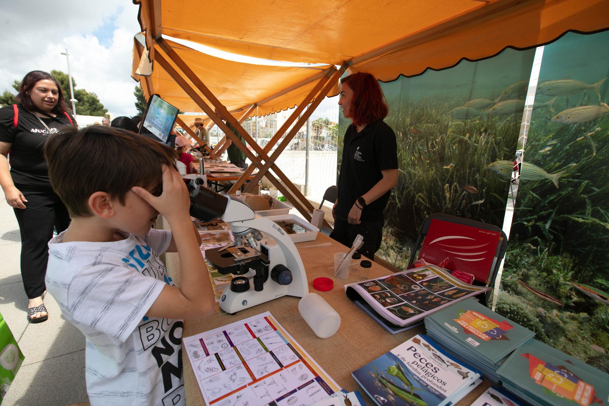 Mira aquí todas las fotos de la feria ECO UC de Santa Eulària