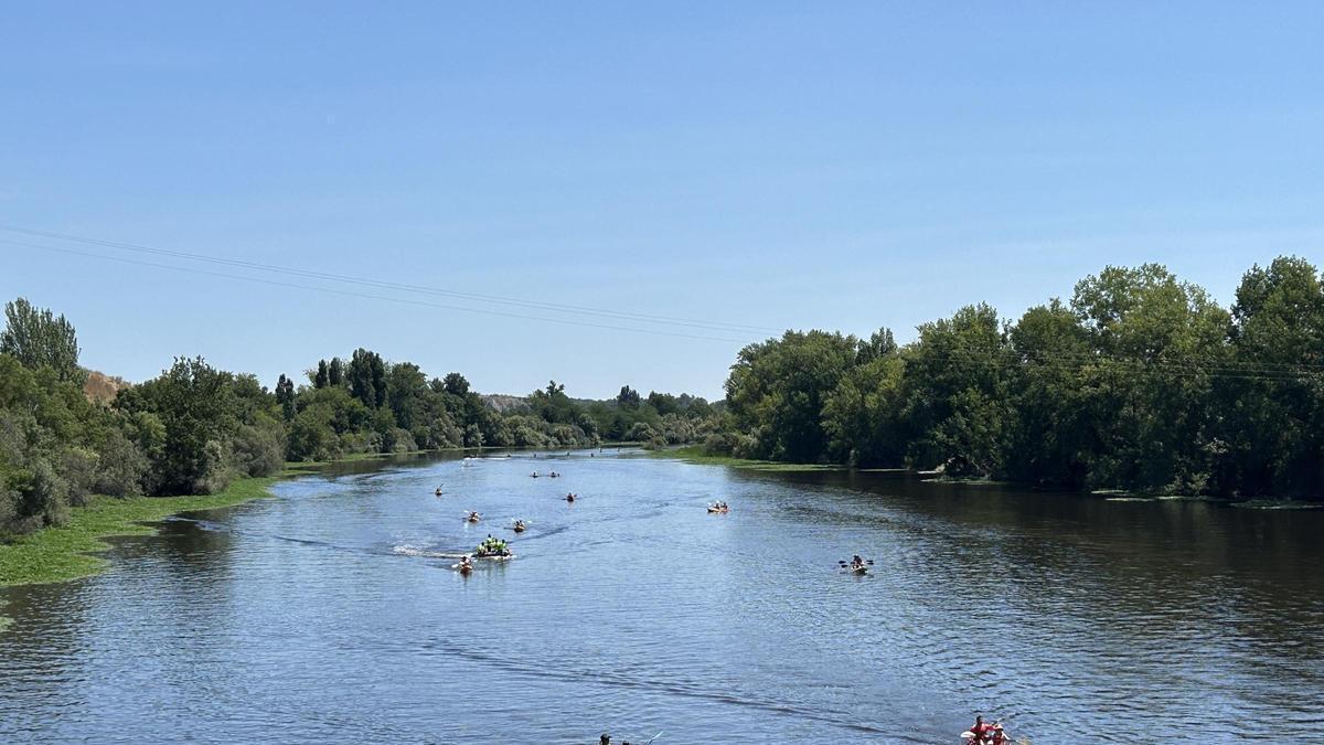 Piraguas en el descenso del río Alagón en una edición anterior.