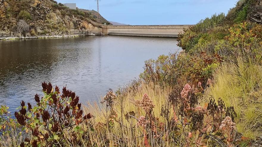 Un paseo por la presa de Las Garzas, en Santa María de Guía