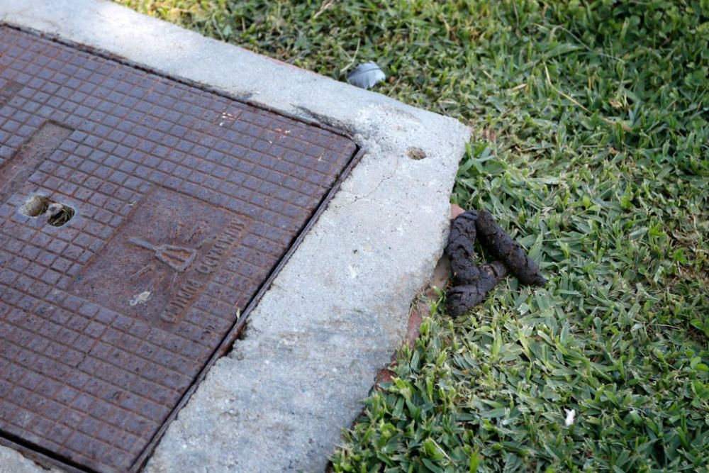 El PSOE critica que el fondo del lago grande del parque de Huelin lleva más de un año sin ser limpiado y el resto del parque está en mal estado.