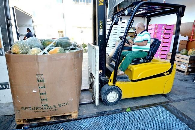 BENITO ALVAREZ PROVEEDOR CANARIO FRUTAS VERDURAS