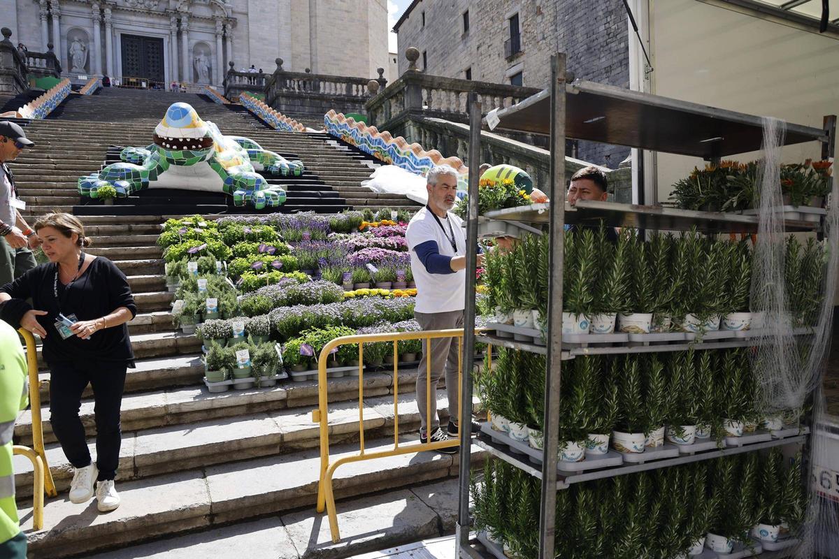 Les imatges dels preparatius de Temps de Flors Les imatges dels preparatius de Temps de Flors