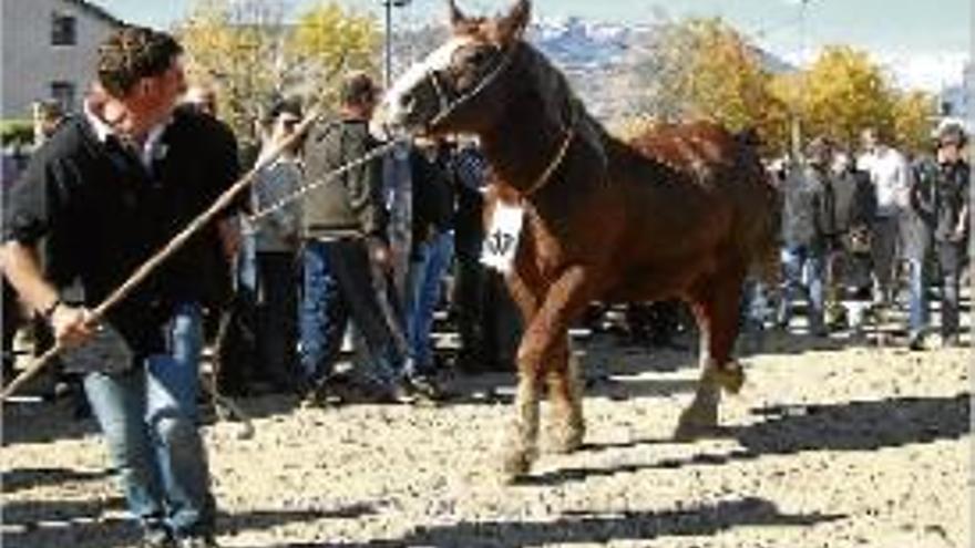 A dalt, un ramader porta el cavall al tancat del concurs. A baix, un gran nombre de visitants es passejaven, ahir, per l&#039;espai firal