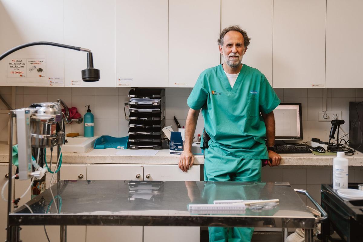 19.02.2026. MADRID. Imágenes de las instalaciones de GREFA (Grupo de Rehabilitación de la Fauna Autóctona y su Hábitat), una organización no gubernamental sin ánimo de lucro, que nace en 1981 como asociación para el estudio y conservación de la naturaleza. Foto: Alba Vigaray