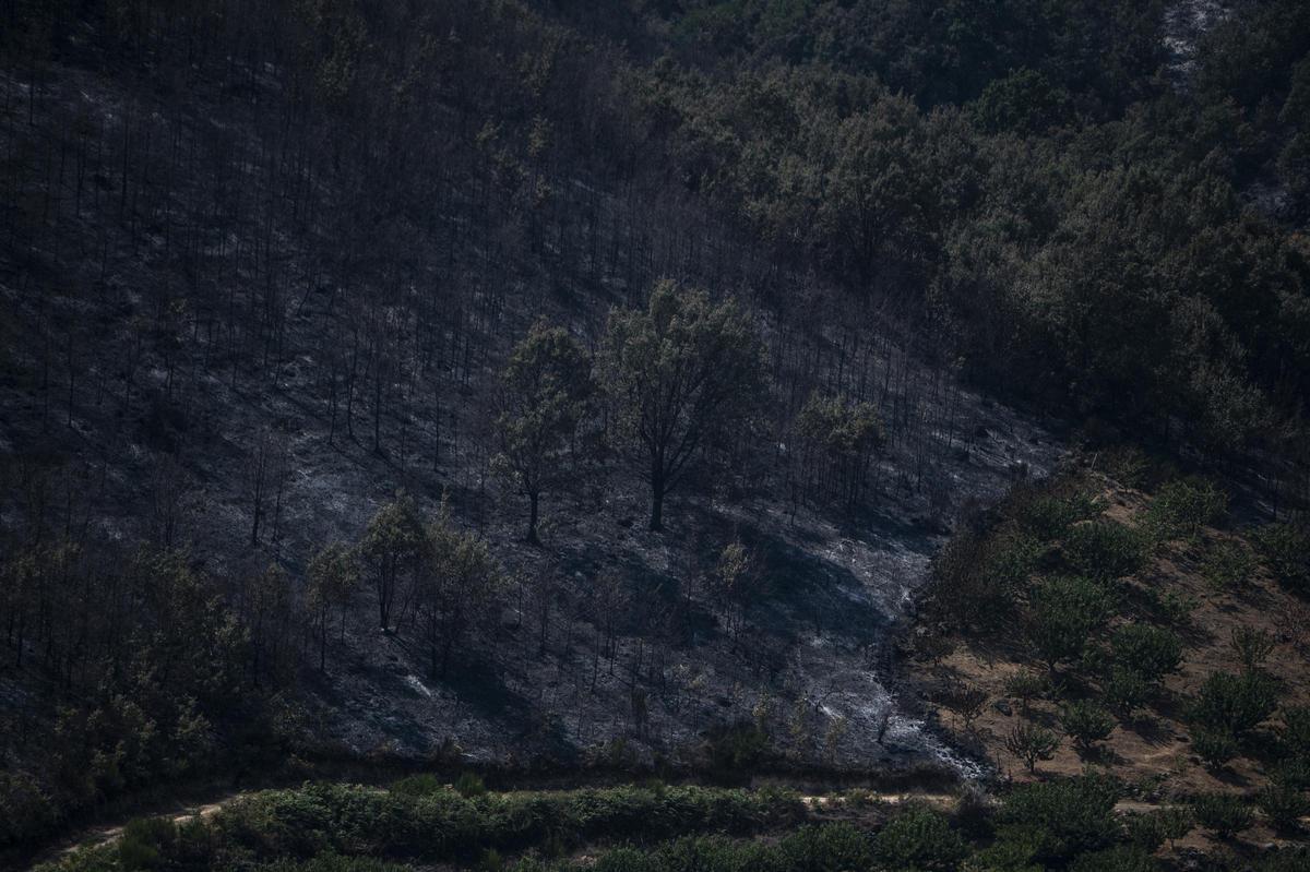 GARGANTILLA. ZONA AFECTADA INCENDIO FORESTAL JARILLA