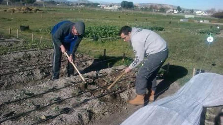 Usuarios de AFEPVI en el huerto urbano.