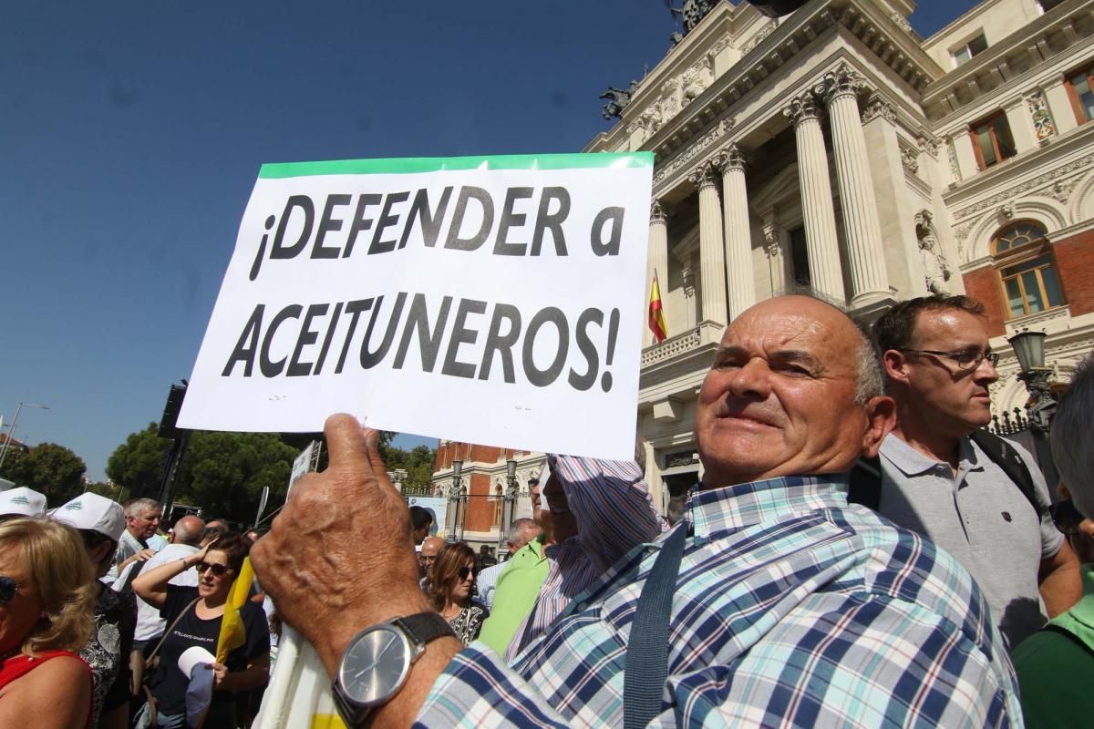 Córdoba se suma a la gran manifestación del olivar en Madrid