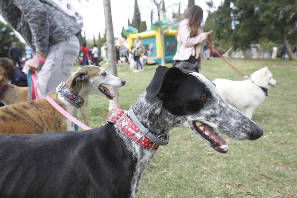 FaMas Fest en los Viveros