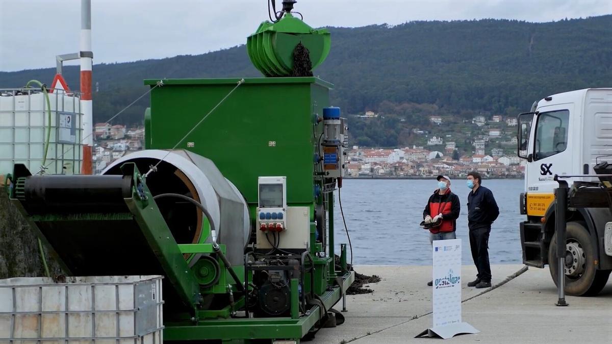 El proyecto de Cereijo ha desarrollado una máquina para clasificar las algas y los residuos