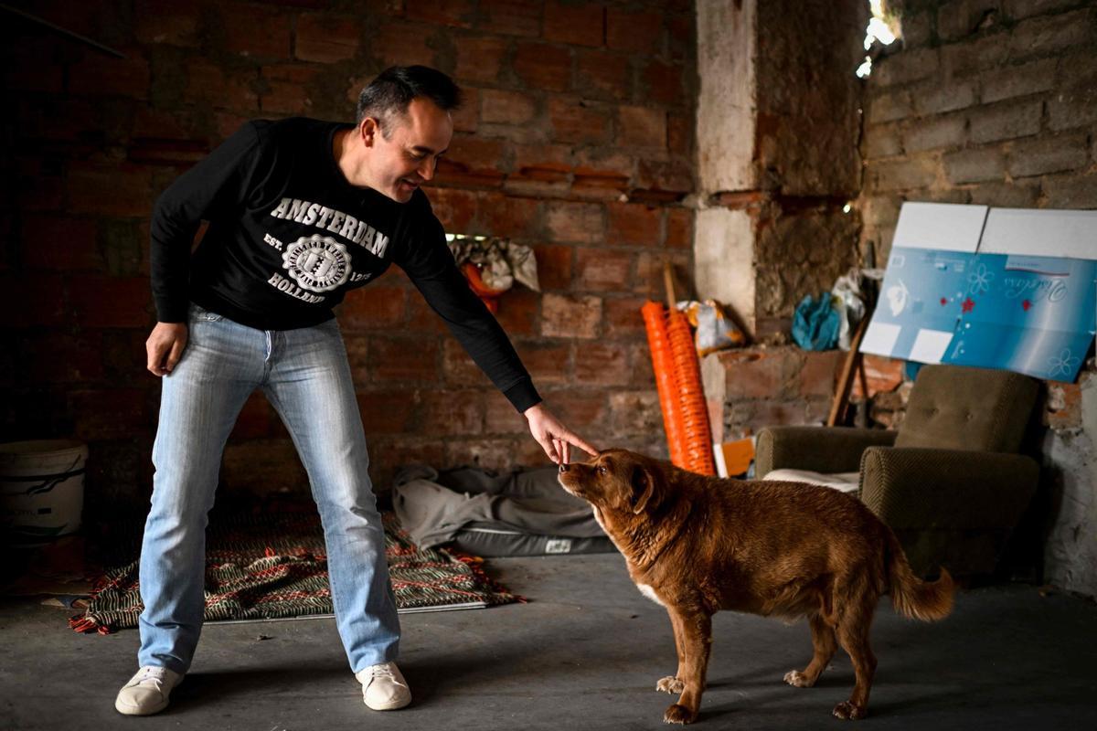 Bobi de 30 años, el perro más viejo del mundo según el Guinness World Records en Conqueiros, Portugal.