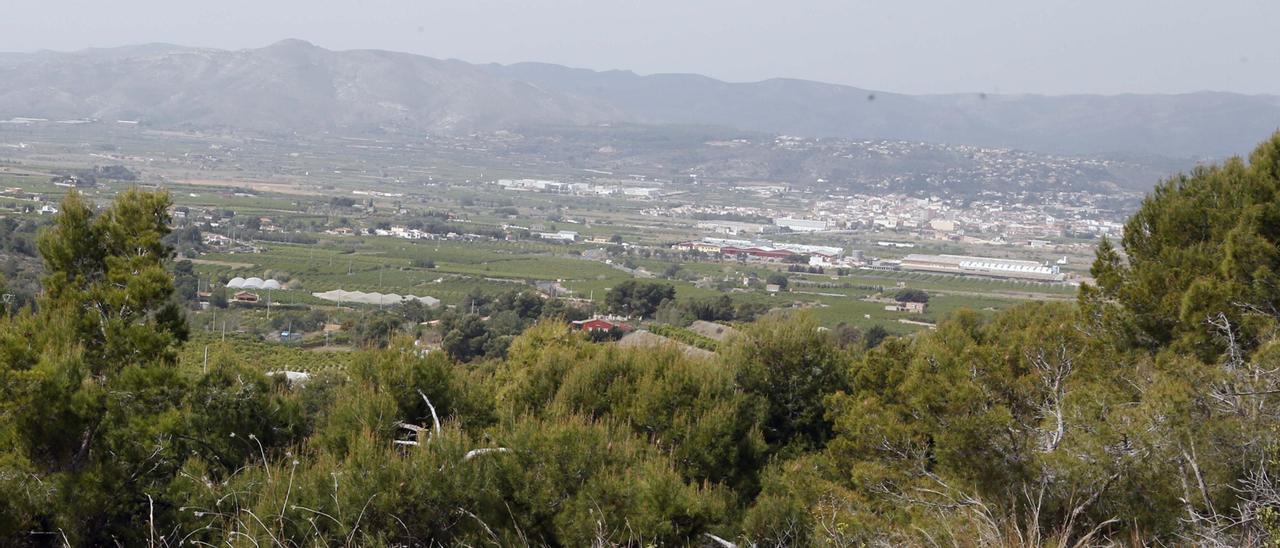 Vista del término municipal de Alfarp con el casco urbano al fondo.